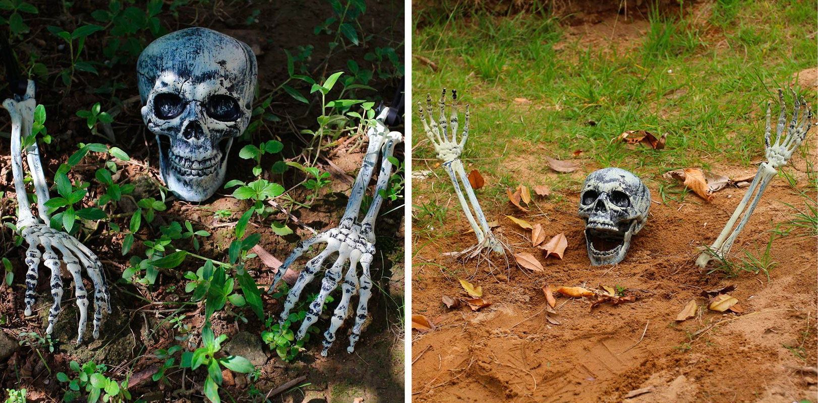 Déco de Jardin d'Halloween avec Crâne et Bras de Squelette