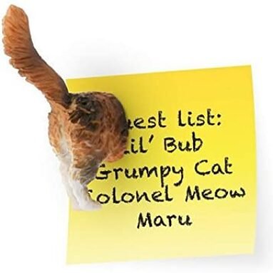 Aimants Derrière de Chat Amusants