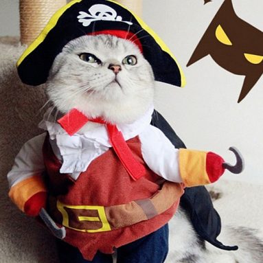 Costume Pirate Chat ou Chien