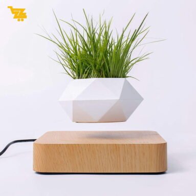 Pot à bonsaï à Lévitation Magnétique