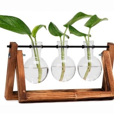 Vases Ampoule en Verre avec Support en Bois